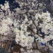 ヒメ日記 2025/03/28 13:00 投稿 めぐ ゴールドフィンガー