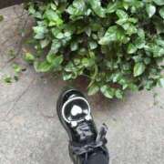 ヒメ日記 2025/04/14 10:15 投稿 めぐ ゴールドフィンガー