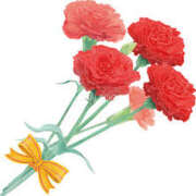 ヒメ日記 2025/05/12 15:05 投稿 めぐ ゴールドフィンガー