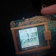 ヒメ日記 2025/06/15 14:22 投稿 めぐ ゴールドフィンガー