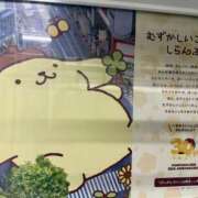 めぐ プリンくん ゴールドフィンガー