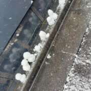 ヒメ日記 2026/02/08 16:48 投稿 めぐ ゴールドフィンガー