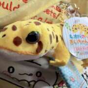 ヒメ日記 2026/02/17 12:30 投稿 めぐ ゴールドフィンガー