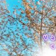 ヒメ日記 2026/04/09 10:55 投稿 めぐ ゴールドフィンガー