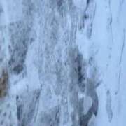 ヒメ日記 2025/01/10 21:11 投稿 Ichika Amane ELEGANT－エレガント－