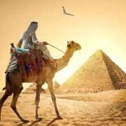 ヒメ日記 2025/03/07 00:00 投稿 Ichika Amane ELEGANT－エレガント－