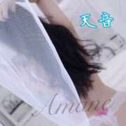 ヒメ日記 2025/03/25 07:08 投稿 Ichika Amane ELEGANT－エレガント－