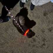 ヒメ日記 2025/07/13 00:35 投稿 Ichika Amane ELEGANT－エレガント－