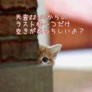 ヒメ日記 2025/07/29 19:27 投稿 Ichika Amane ELEGANT－エレガント－