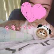 ヒメ日記 2026/06/09 08:43 投稿 Ichika Amane ELEGANT－エレガント－