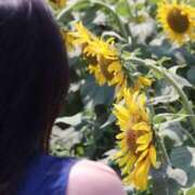 ヒメ日記 2026/08/19 08:50 投稿 Ichika Amane ELEGANT－エレガント－