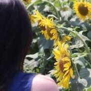 ヒメ日記 2026/08/19 09:05 投稿 Ichika Amane ELEGANT－エレガント－