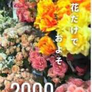 ヒメ日記 2026/09/17 07:15 投稿 Ichika Amane ELEGANT－エレガント－