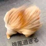 ヒメ日記 2026/09/21 13:39 投稿 Ichika Amane ELEGANT－エレガント－