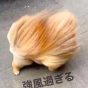 ヒメ日記 2026/09/21 13:45 投稿 Ichika Amane ELEGANT－エレガント－