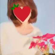 ヒメ日記 2024/12/16 09:15 投稿 さなえ 奥鉄オクテツ兵庫