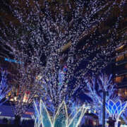 ヒメ日記 2024/12/16 19:30 投稿 さなえ 奥鉄オクテツ兵庫