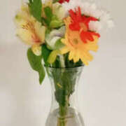 ヒメ日記 2025/01/02 09:25 投稿 さなえ 奥鉄オクテツ兵庫