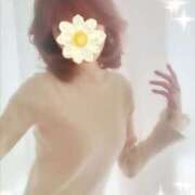 ヒメ日記 2025/03/07 09:56 投稿 さなえ 奥鉄オクテツ兵庫