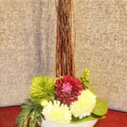 ヒメ日記 2025/03/21 17:48 投稿 さなえ 奥鉄オクテツ兵庫