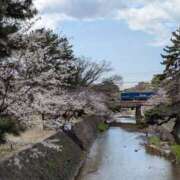 ヒメ日記 2025/04/05 17:01 投稿 さなえ 奥鉄オクテツ兵庫