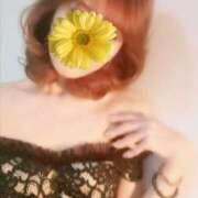 ヒメ日記 2025/04/13 09:34 投稿 さなえ 奥鉄オクテツ兵庫