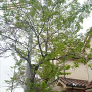 ヒメ日記 2025/04/21 19:29 投稿 さなえ 奥鉄オクテツ兵庫