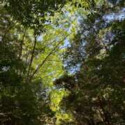 ヒメ日記 2025/05/01 17:06 投稿 さなえ 奥鉄オクテツ兵庫