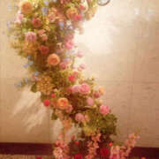 ヒメ日記 2025/06/15 20:50 投稿 さなえ 奥鉄オクテツ兵庫