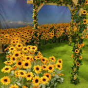 ヒメ日記 2025/07/27 19:47 投稿 さなえ 奥鉄オクテツ兵庫