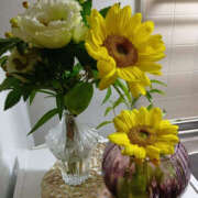 ヒメ日記 2025/08/10 18:01 投稿 さなえ 奥鉄オクテツ兵庫