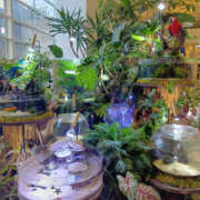 ヒメ日記 2025/08/24 18:10 投稿 さなえ 奥鉄オクテツ兵庫