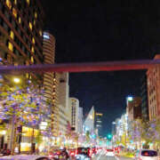 ヒメ日記 2025/11/01 20:34 投稿 さなえ 奥鉄オクテツ兵庫