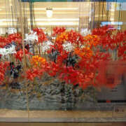 ヒメ日記 2025/11/06 17:48 投稿 さなえ 奥鉄オクテツ兵庫