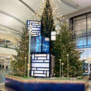 ヒメ日記 2025/11/15 18:43 投稿 さなえ 奥鉄オクテツ兵庫