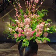 ヒメ日記 2026/03/07 12:23 投稿 さなえ 奥鉄オクテツ兵庫