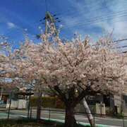 ヒメ日記 2026/04/05 17:35 投稿 さなえ 奥鉄オクテツ兵庫