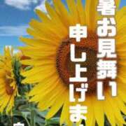 ヒメ日記 2023/08/12 08:14 投稿 向日葵 横浜人妻デリヘル RE:PRESIDENT-プレジデント-