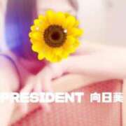 ヒメ日記 2023/08/28 06:50 投稿 向日葵 横浜人妻デリヘル RE:PRESIDENT-プレジデント-