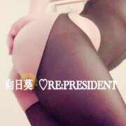 ヒメ日記 2023/12/15 08:16 投稿 向日葵 横浜人妻デリヘル RE:PRESIDENT-プレジデント-