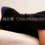 ヒメ日記 2024/01/06 12:57 投稿 向日葵 横浜人妻デリヘル RE:PRESIDENT-プレジデント-