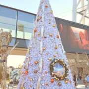 ヒメ日記 2024/12/06 19:49 投稿 りつ sweet kiss