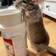 ヒメ日記 2024/12/10 08:39 投稿 りつ sweet kiss