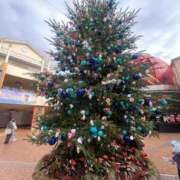 ヒメ日記 2024/12/13 11:31 投稿 りつ sweet kiss