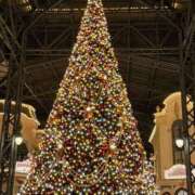 ヒメ日記 2024/12/16 17:29 投稿 りつ sweet kiss