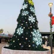 ヒメ日記 2024/12/16 18:20 投稿 りつ sweet kiss