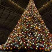 ヒメ日記 2024/12/24 08:39 投稿 りつ sweet kiss