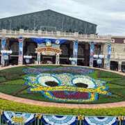 ヒメ日記 2025/01/20 10:59 投稿 りつ sweet kiss