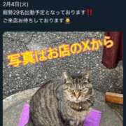 ヒメ日記 2025/02/04 13:39 投稿 りつ sweet kiss