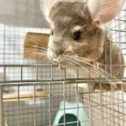 ヒメ日記 2025/02/28 22:39 投稿 りつ sweet kiss